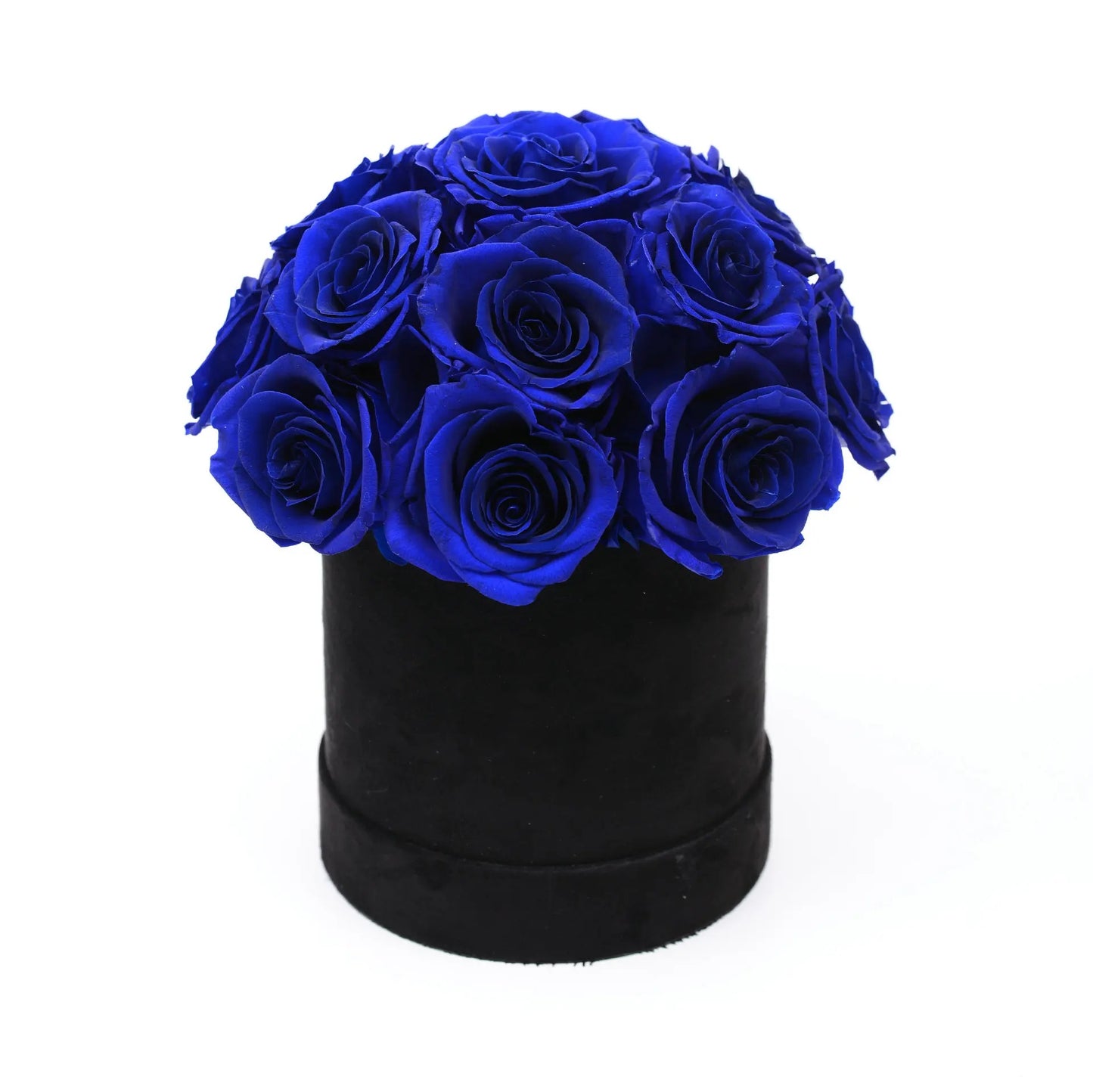 "BLUE ROSE CELESTIAL DOME: A FLORAL MASTERPIECE”