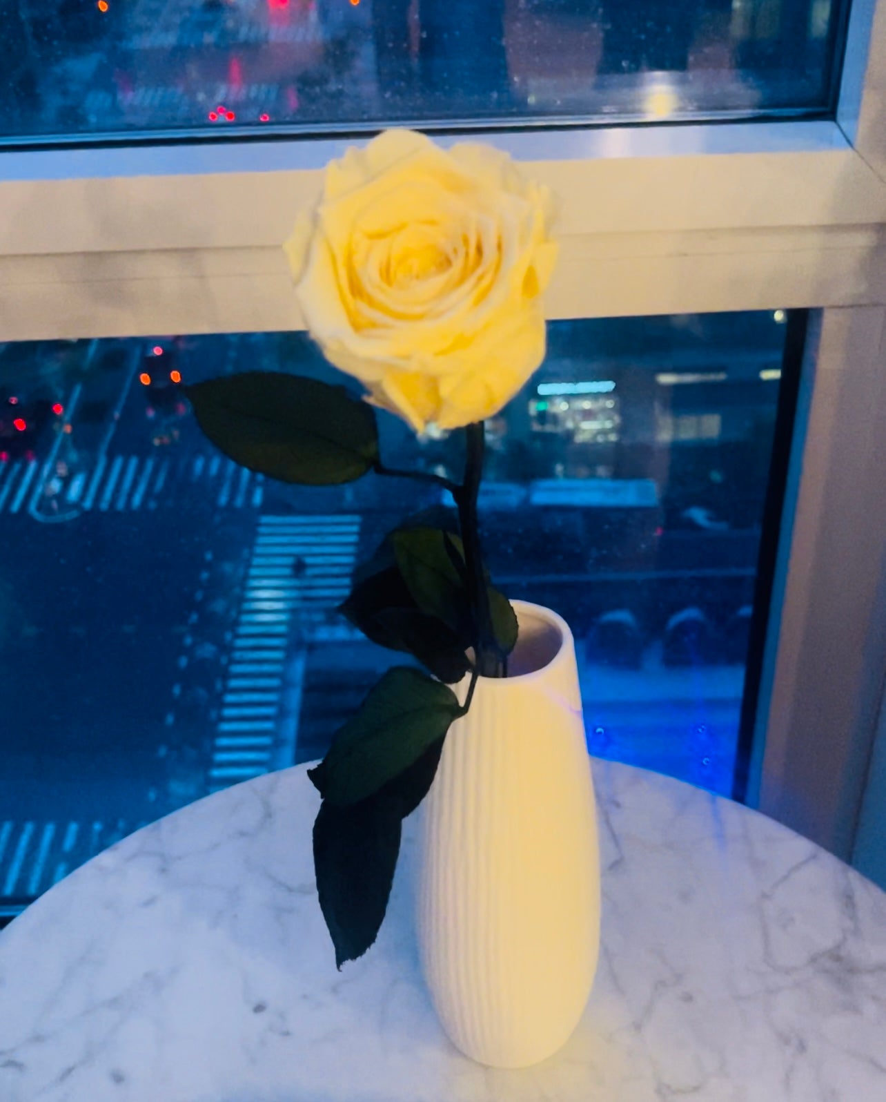 Yellow steam rose