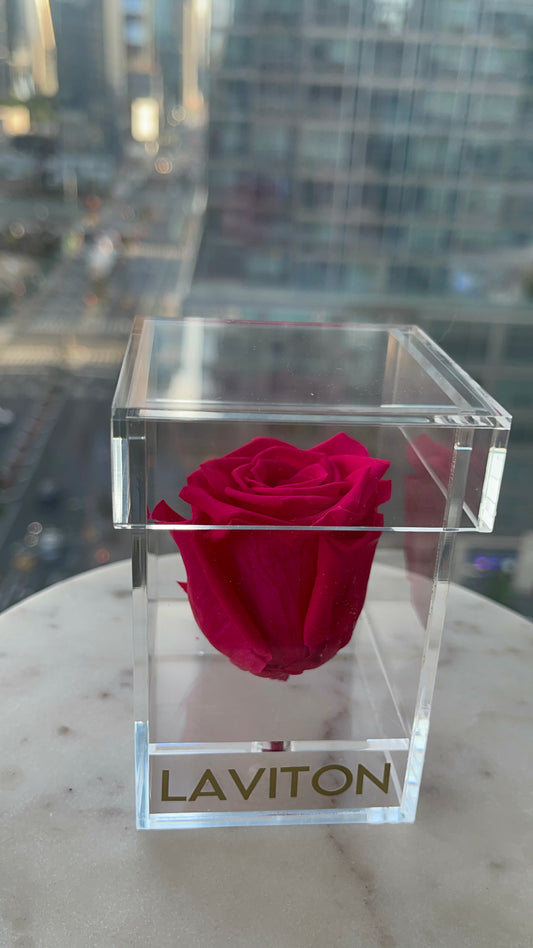HOT PINK SINGLE ROSE IN ACRYLIC BOX