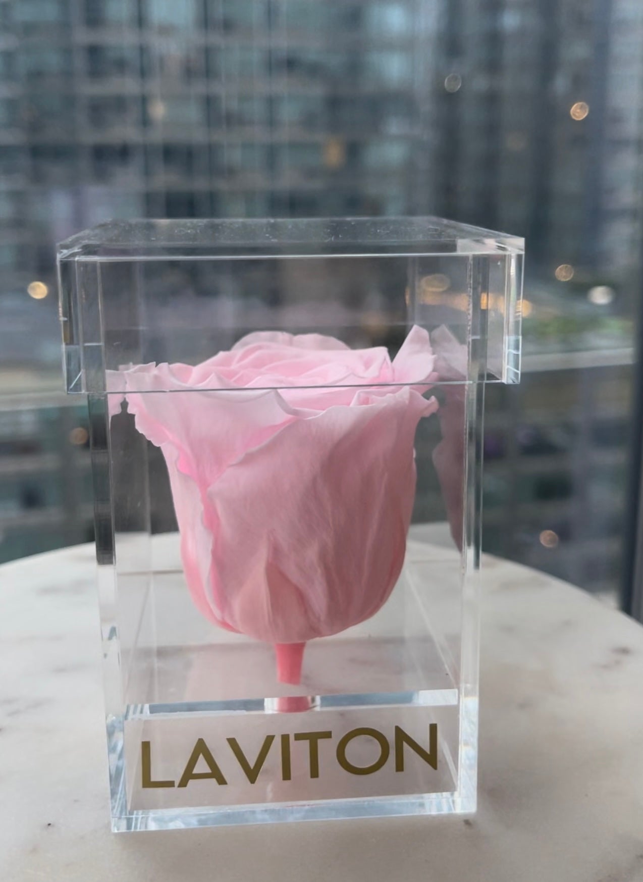 PINK ROSE IN ACRYLIC BOX