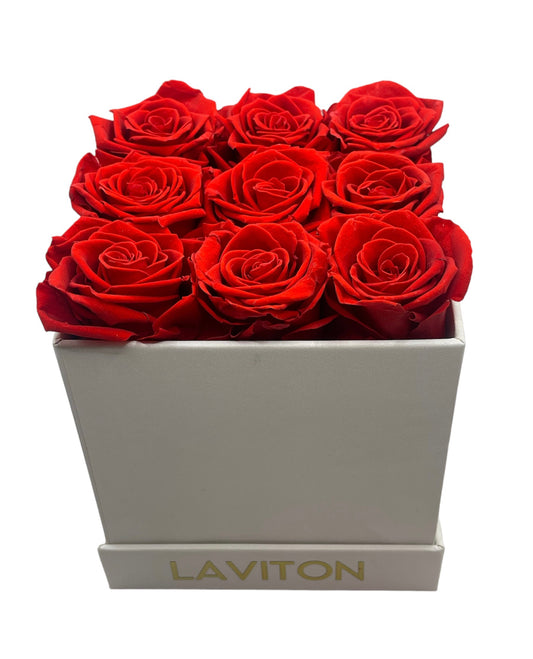 HOT RED ETERNITY ROSES BOX